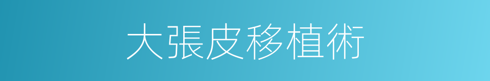 大張皮移植術的同義詞