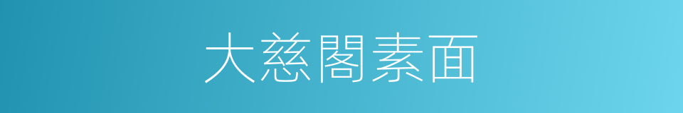 大慈閣素面的同義詞