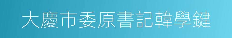 大慶市委原書記韓學鍵的同義詞