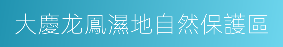 大慶龙鳳濕地自然保護區的同義詞