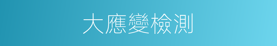 大應變檢測的同義詞