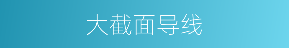 大截面导线的同义词