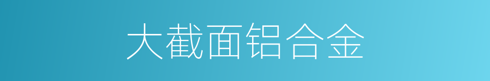 大截面铝合金的同义词