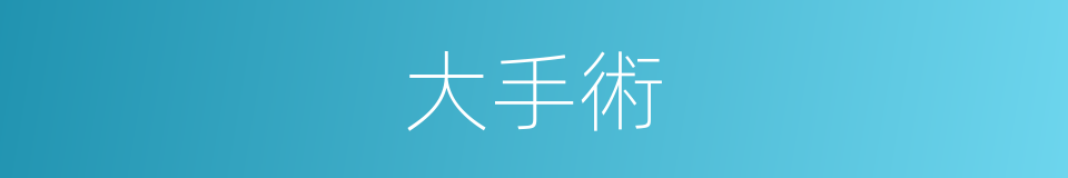 大手術的意思
