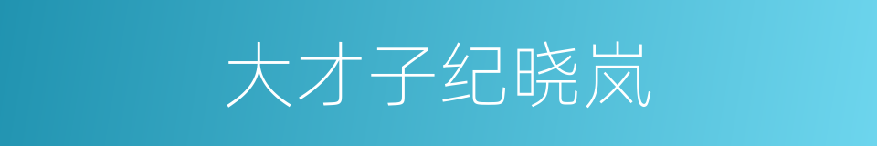 大才子纪晓岚的同义词