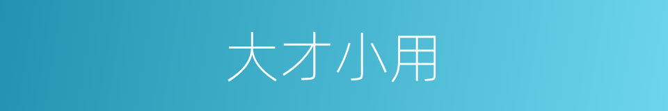 大才小用的同义词
