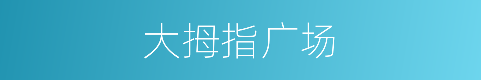大拇指广场的同义词
