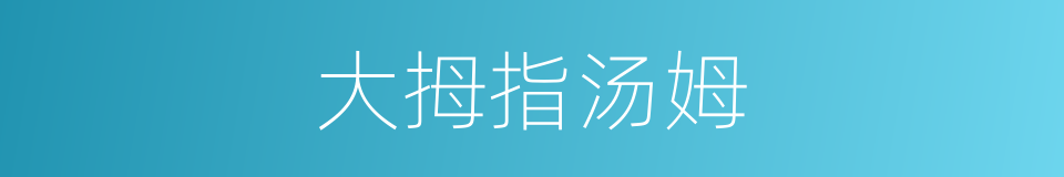 大拇指汤姆的同义词