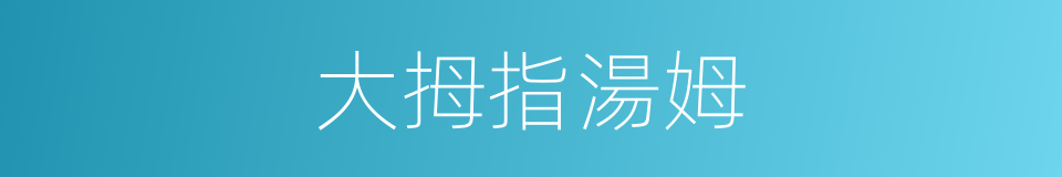 大拇指湯姆的同義詞