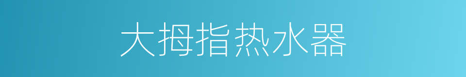 大拇指热水器的同义词
