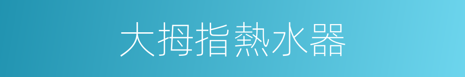 大拇指熱水器的同義詞