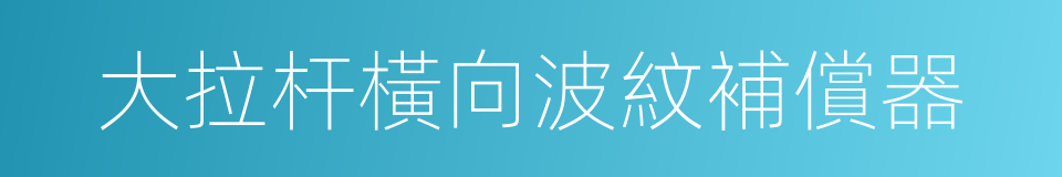 大拉杆橫向波紋補償器的同義詞