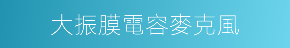 大振膜電容麥克風的同義詞