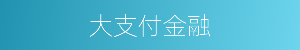 大支付金融的同义词