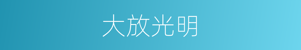 大放光明的意思