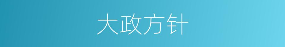 大政方针的意思