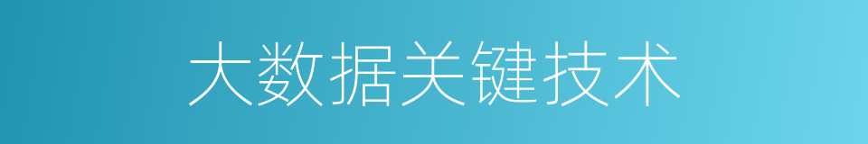 大数据关键技术的同义词