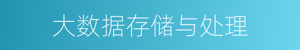 大数据存储与处理的同义词