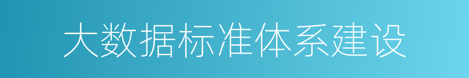 大数据标准体系建设的同义词