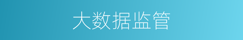 大数据监管的同义词