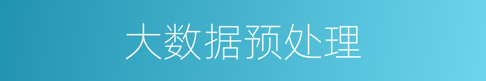 大数据预处理的同义词