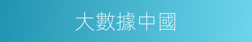大數據中國的同義詞