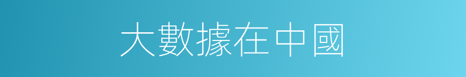 大數據在中國的同義詞