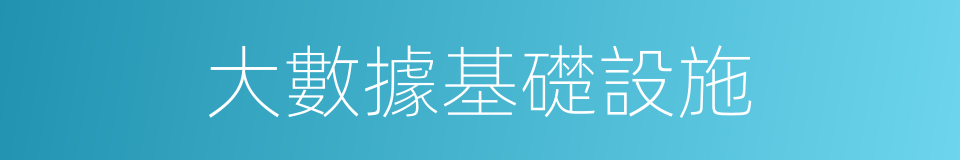 大數據基礎設施的同義詞