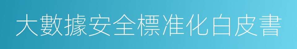 大數據安全標准化白皮書的同義詞