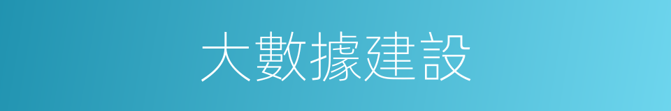 大數據建設的同義詞