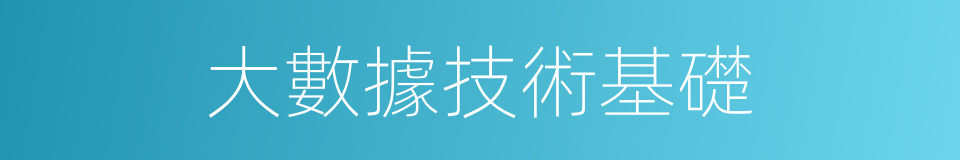 大數據技術基礎的同義詞