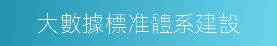 大數據標准體系建設的同義詞