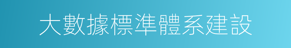 大數據標準體系建設的同義詞