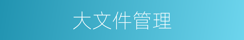 大文件管理的同义词