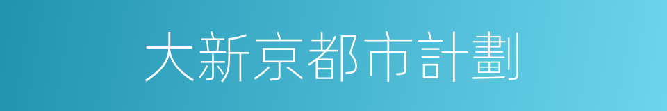 大新京都市計劃的同義詞