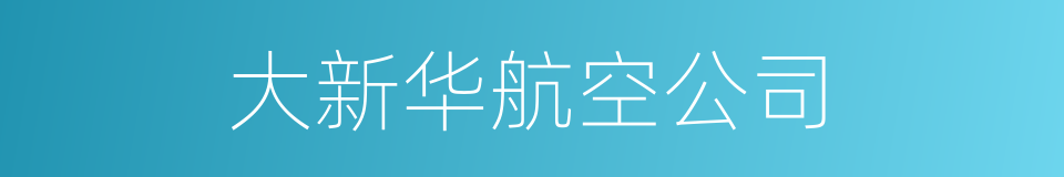 大新华航空公司的同义词