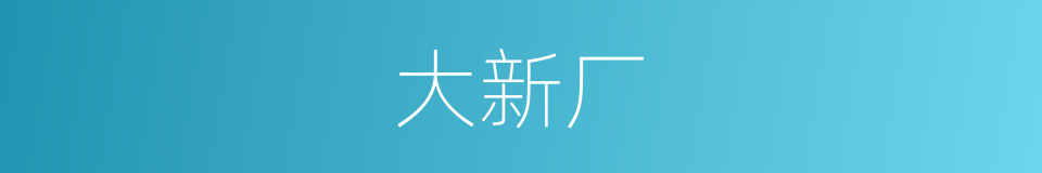 大新厂的同义词