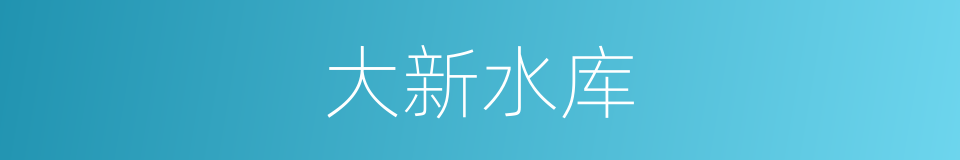 大新水库的同义词