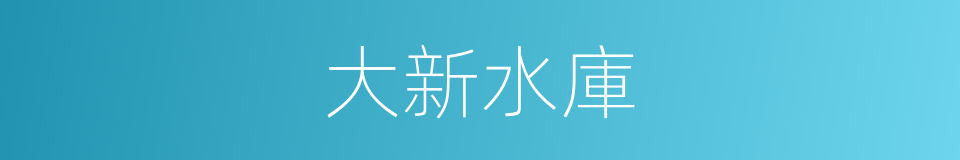 大新水庫的同義詞