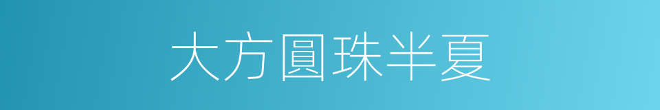 大方圓珠半夏的同義詞