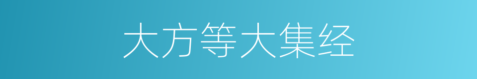 大方等大集经的同义词