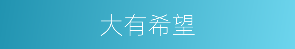大有希望的意思