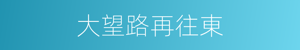 大望路再往東的同義詞