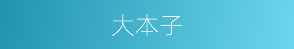 大本子的同义词