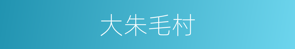 大朱毛村的同义词