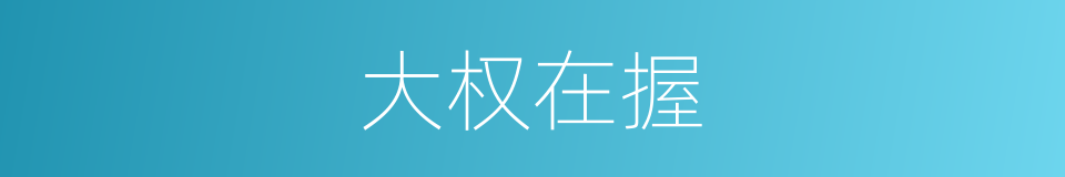 大权在握的意思