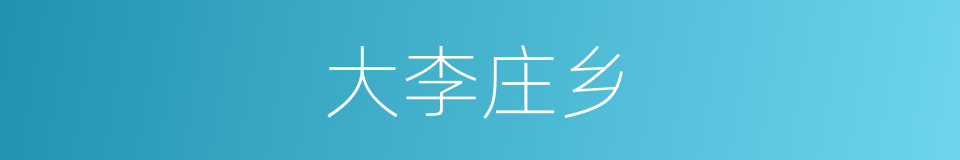 大李庄乡的同义词