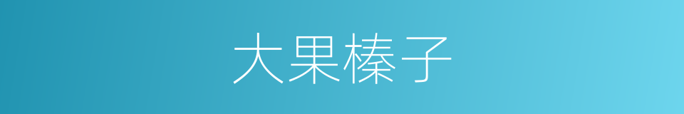 大果榛子的同义词