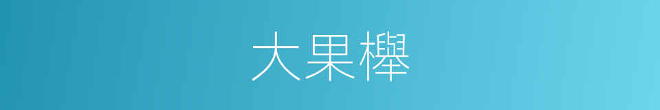 大果櫸的同義詞