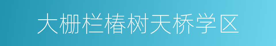 大栅栏椿树天桥学区的同义词